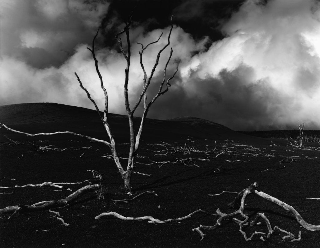 Detail of Volcano, 1980 by Anonymous
