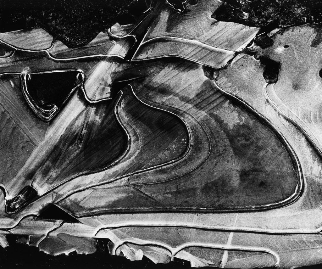Detail of Ice, Oregon, 1971 by Anonymous