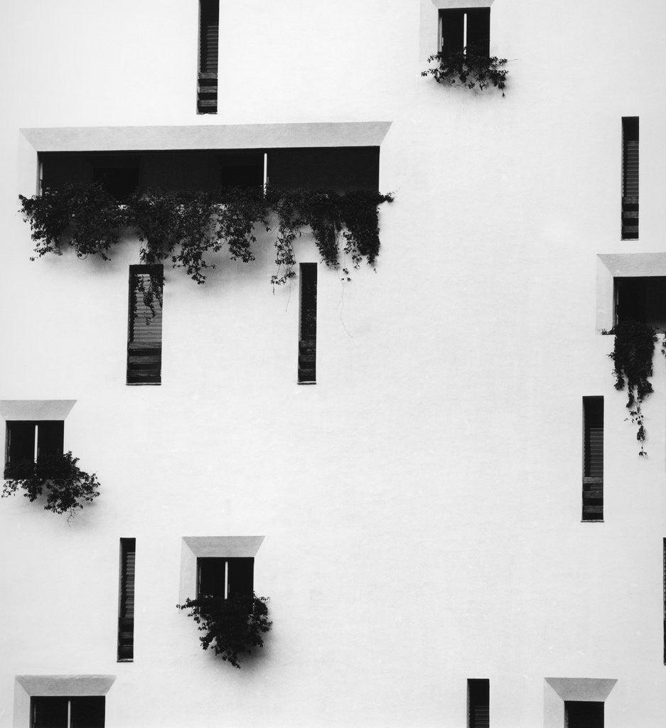 Detail of Puerto Vallarta by Brett Weston