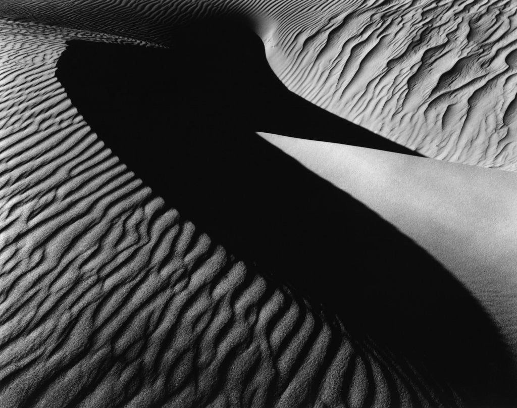 Detail of Dune, Oceano, 1932 by Corbis