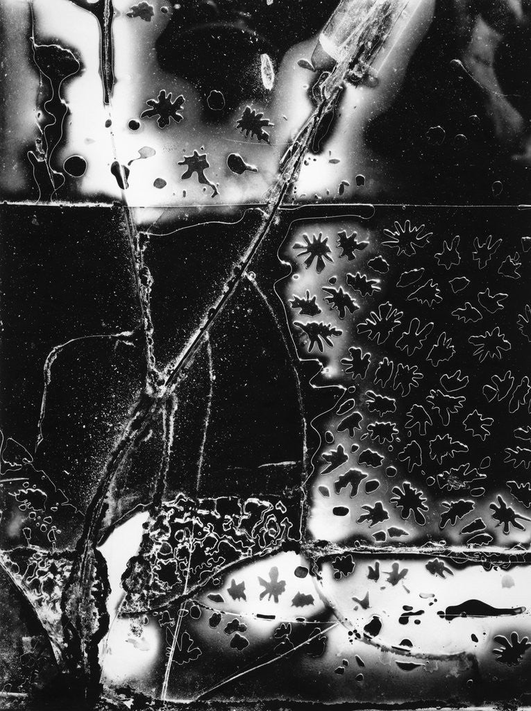 Detail of Broken Glass by Brett Weston