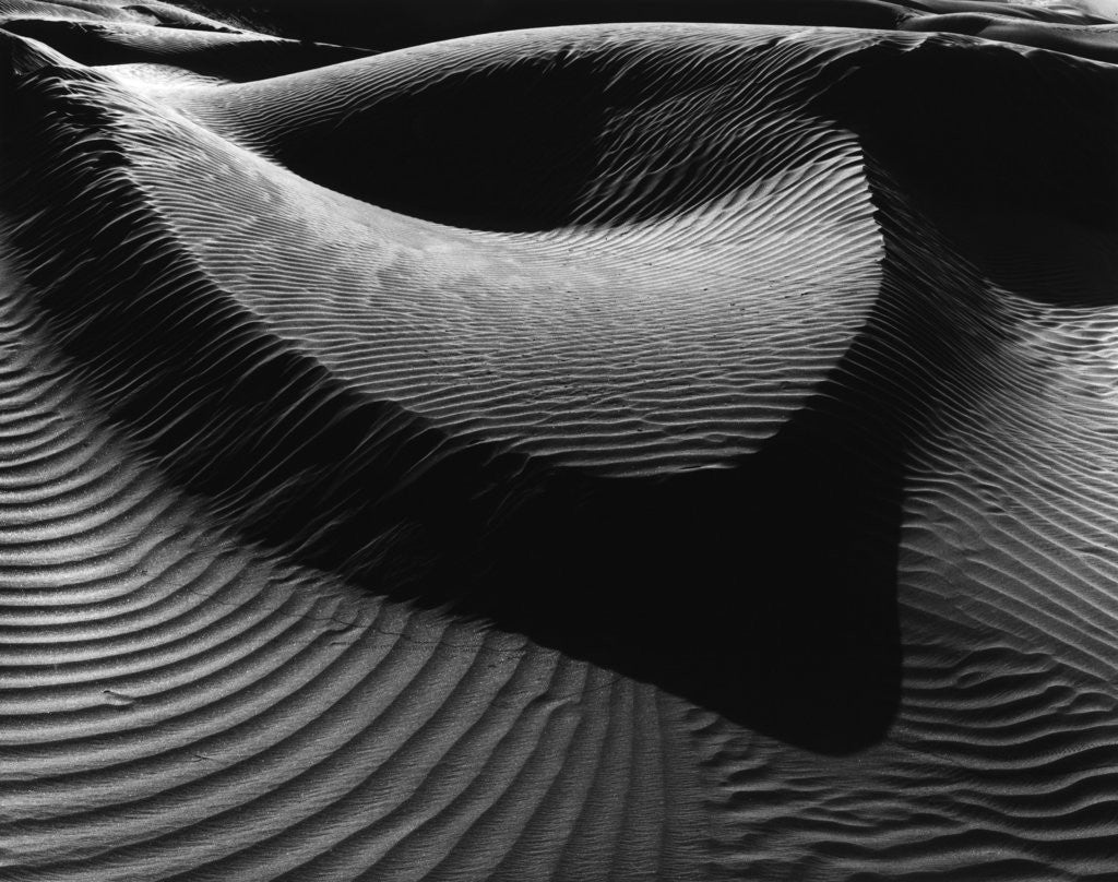 Detail of Dune by Anonymous