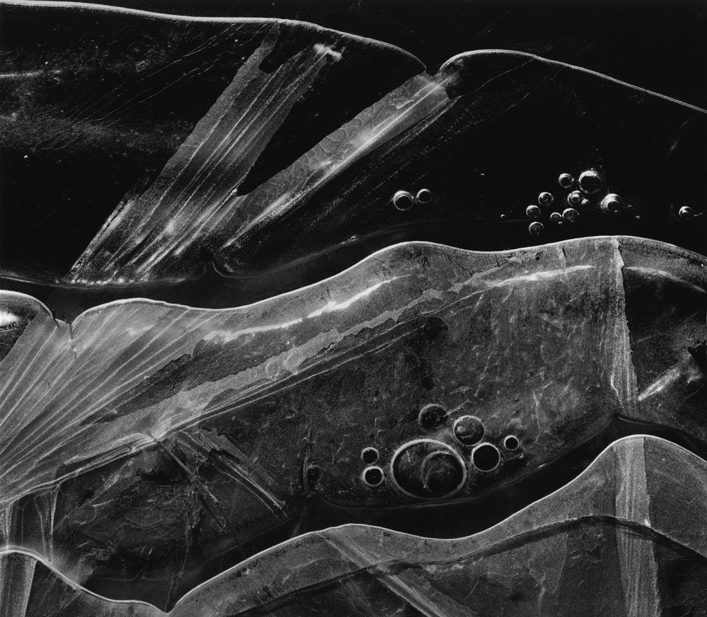 Detail of Ice Form, Oregon, 1969 by Anonymous
