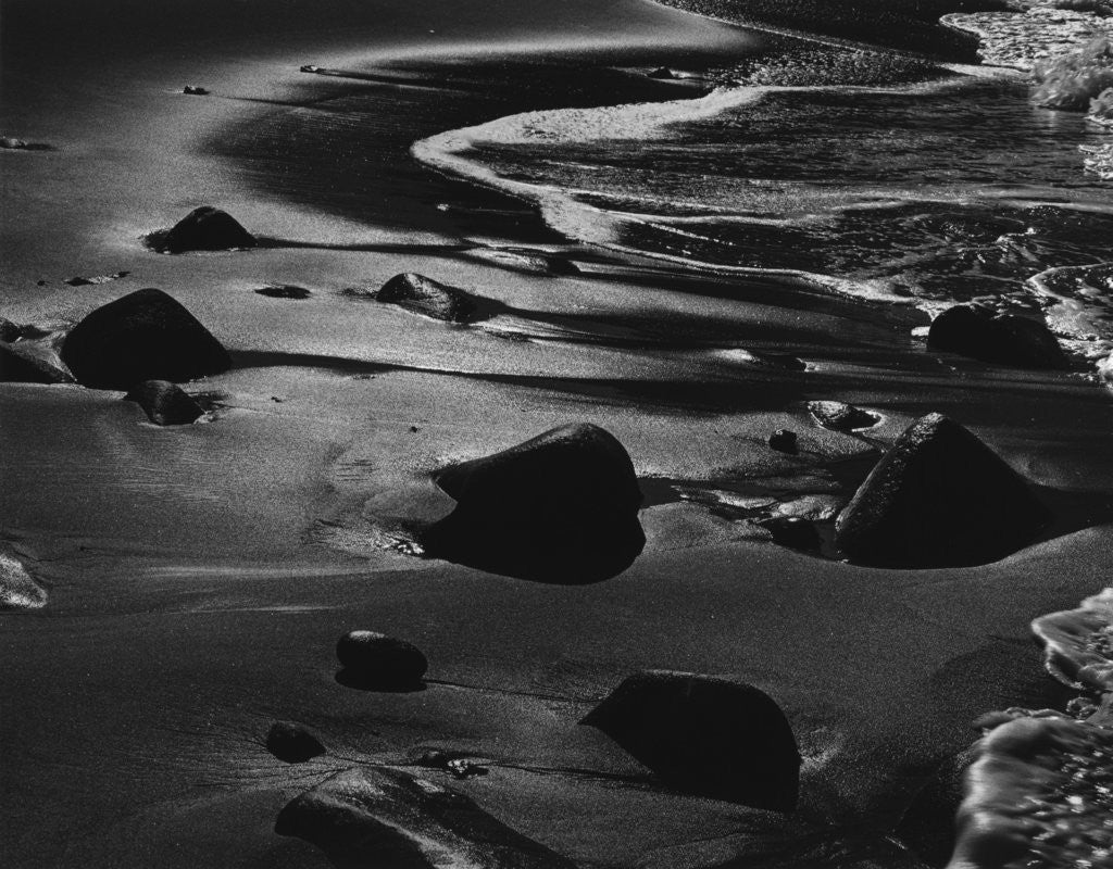 Detail of Surf, California, 1975 by Anonymous