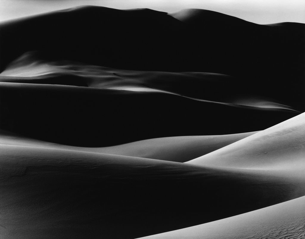 Detail of Dunes by Anonymous