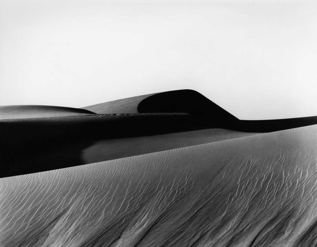 Detail of Dune, Oceano, 1934 by Anonymous