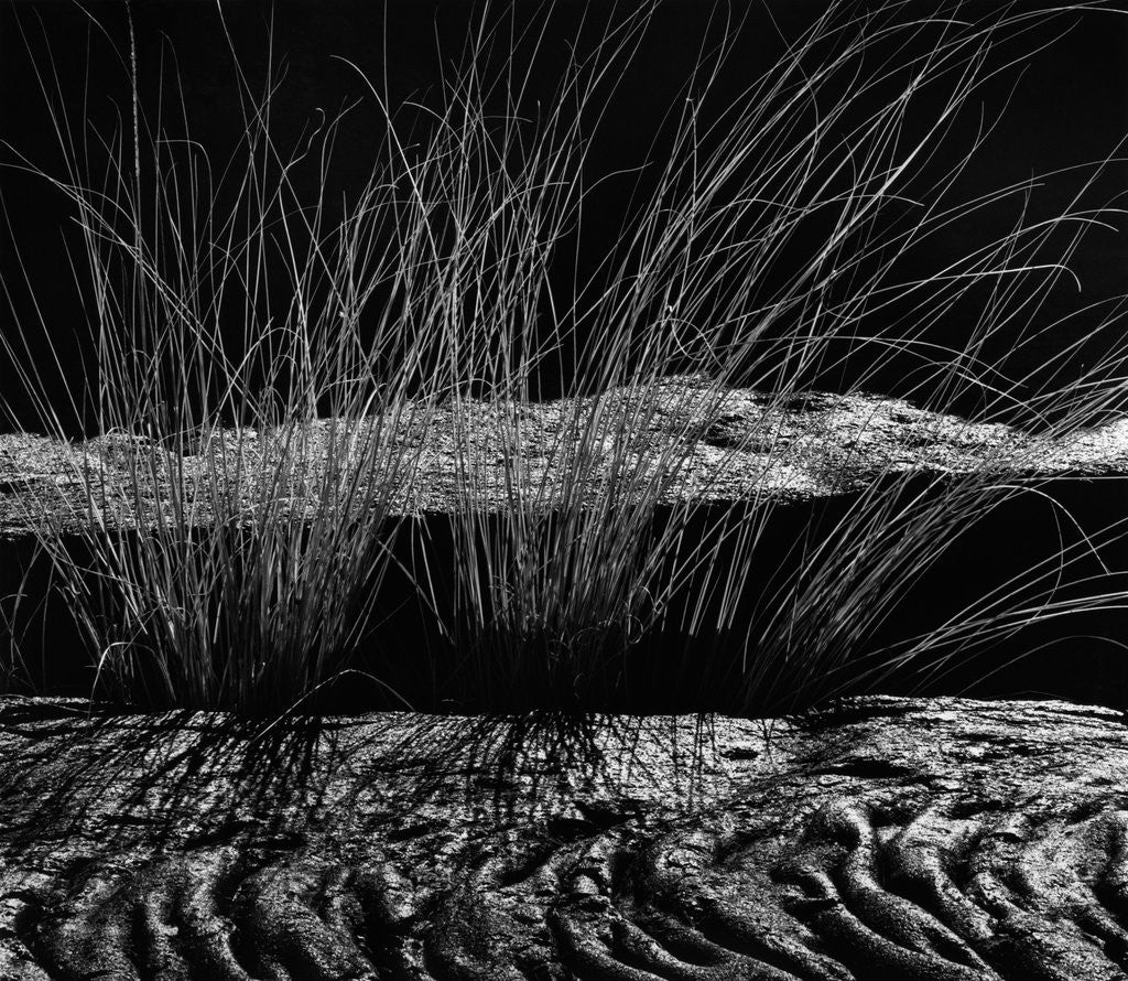 Detail of Grass and Lava by Anonymous
