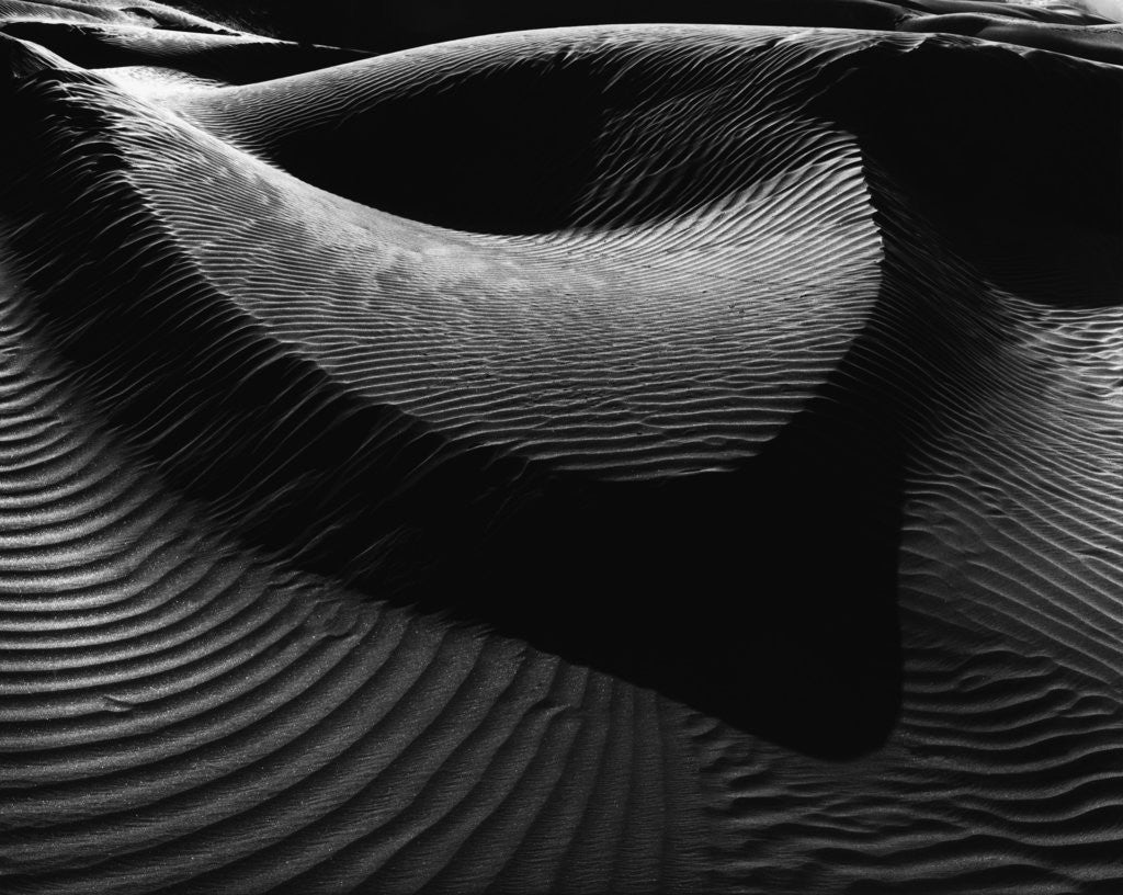 Detail of Sand Dunes by Anonymous