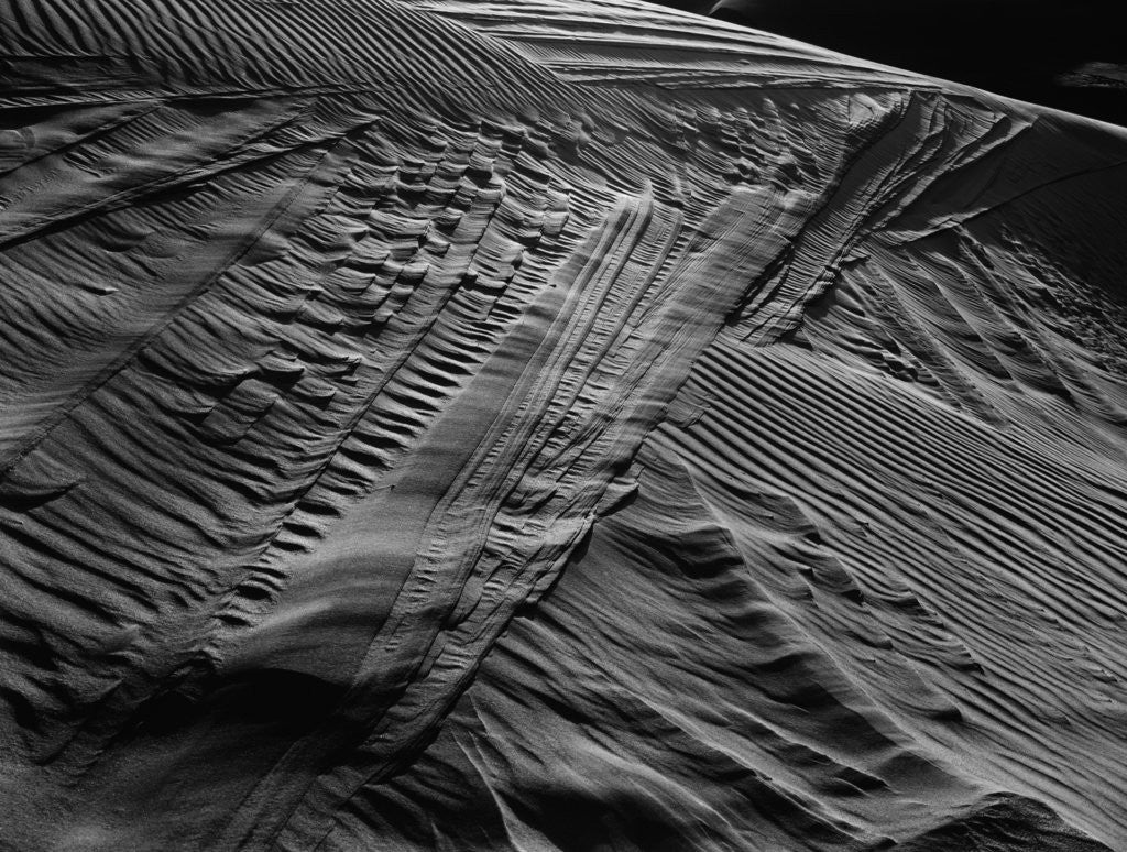 Detail of Ripples in Dune by Anonymous