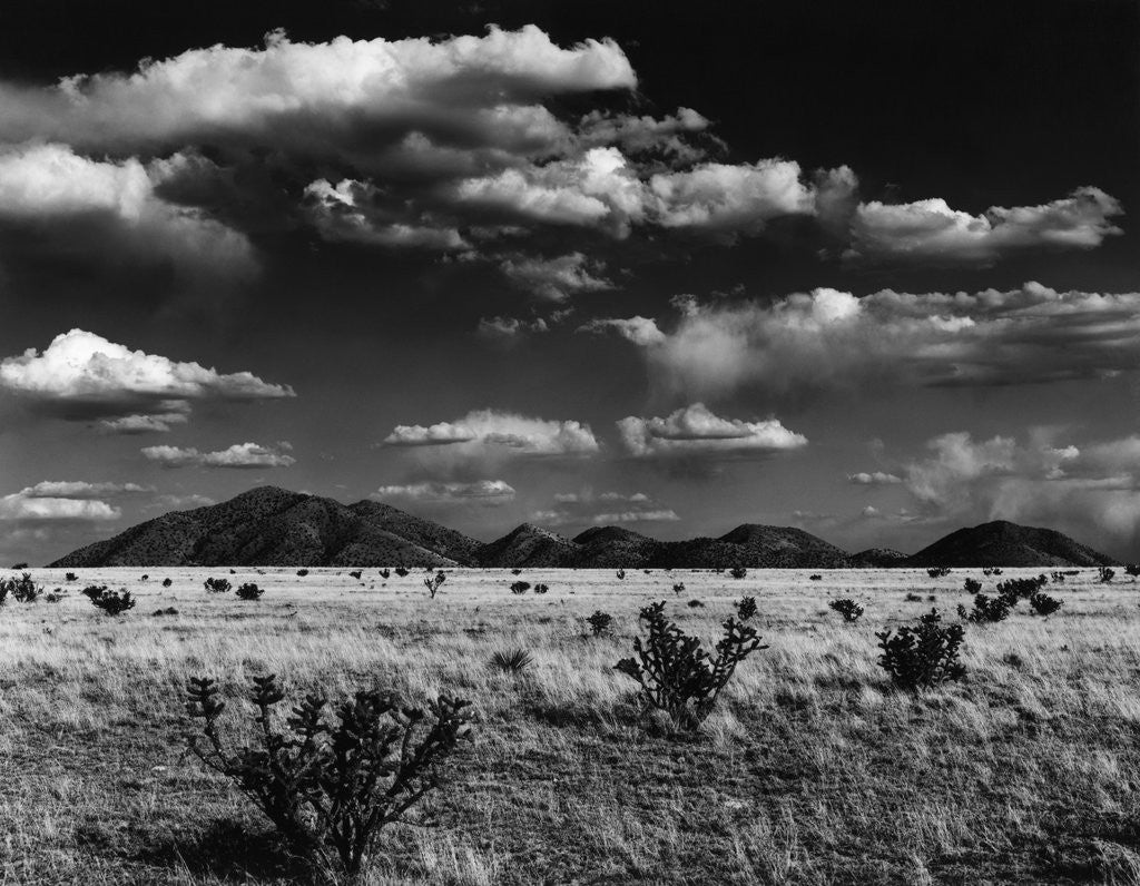 Detail of Desert Plain by Corbis