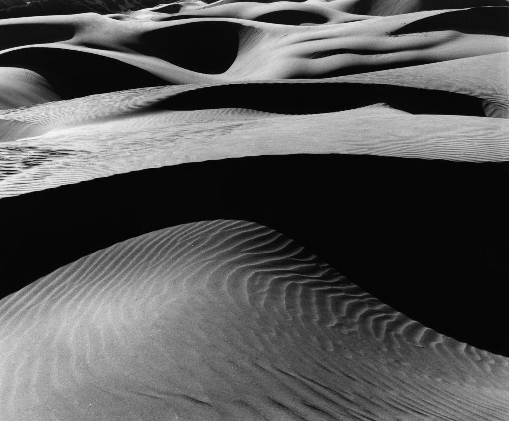 Detail of Dune Landscape by Anonymous