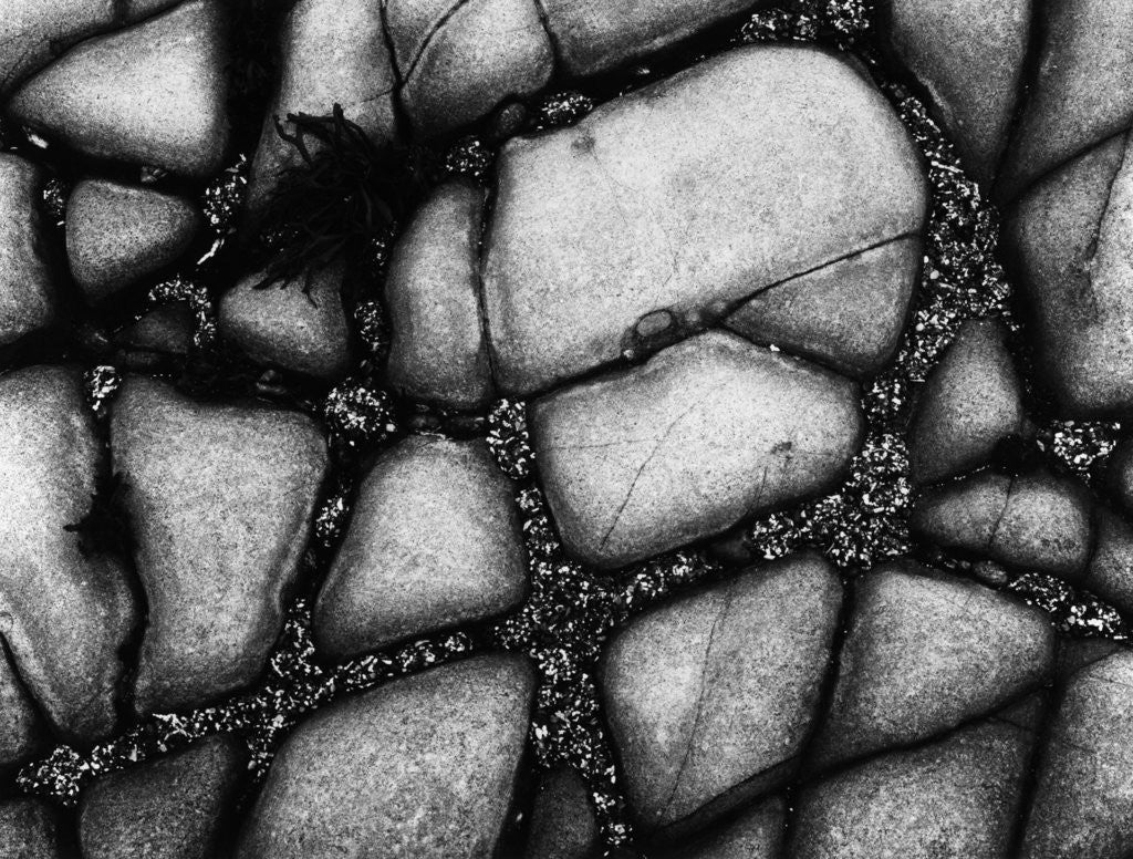 Detail of Seaside Rocks by Anonymous