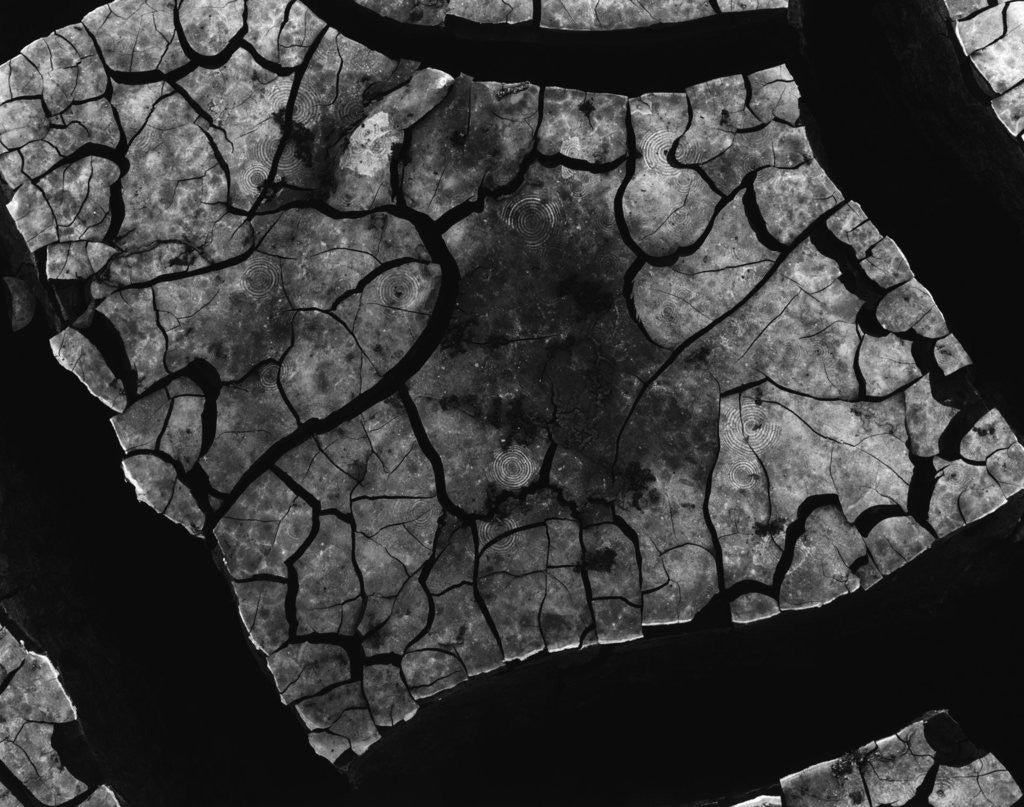 Detail of Cracked Mud by Anonymous