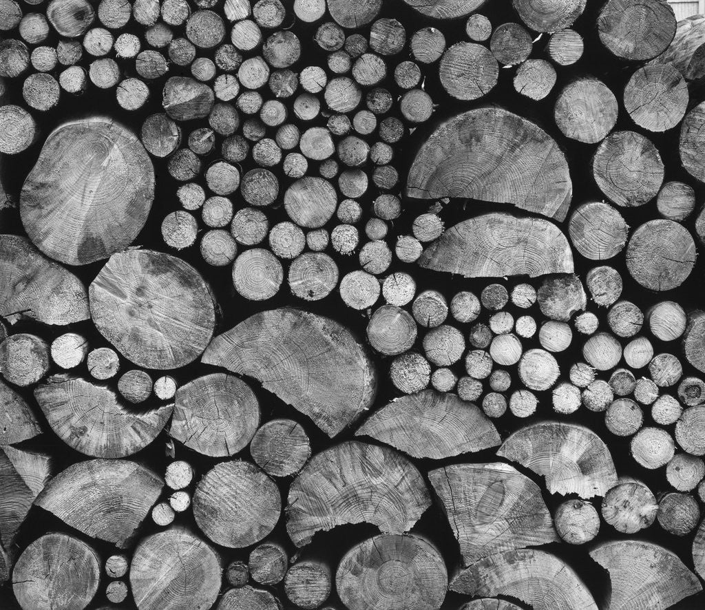 Detail of Lumber by Anonymous