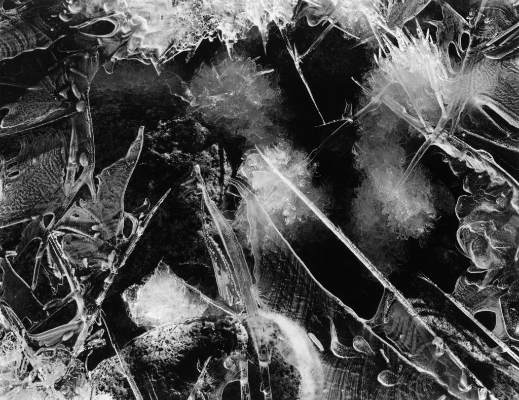 Detail of Ice, Mono Lake, 1958 by Corbis