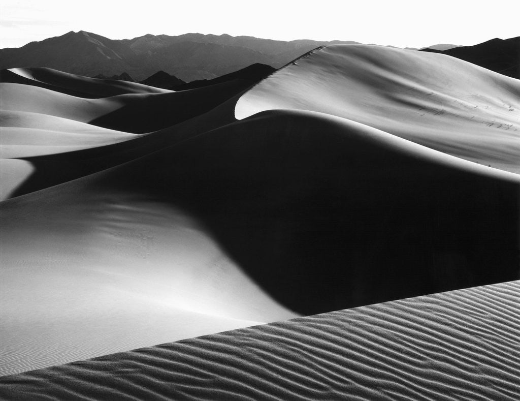 Detail of Dunes, Death Valley, 1967 by Anonymous