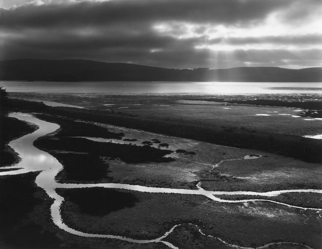 Detail of Tomales Bay, 1955 by Anonymous