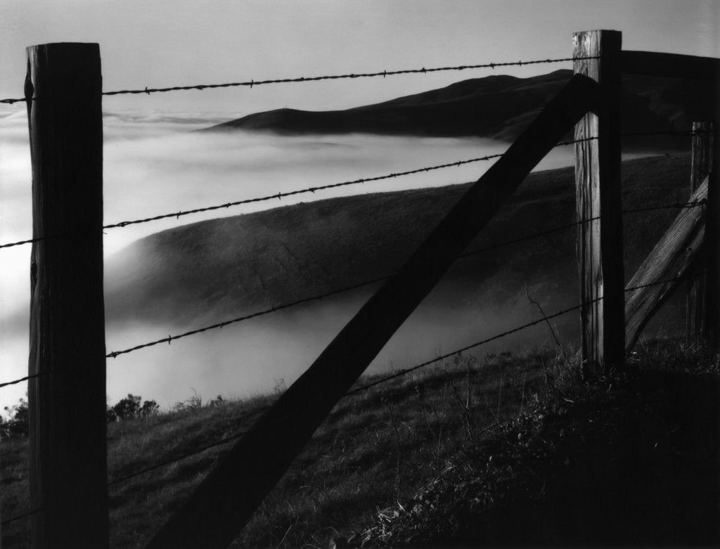 Detail of Fence and Hills, Big Sur, 1962 by Anonymous