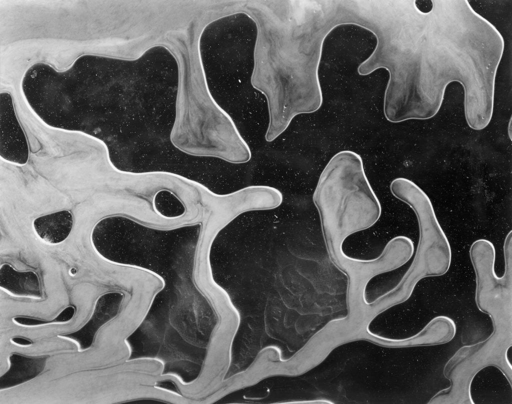 Detail of Liquid Abstraction, California, 1956 by Anonymous