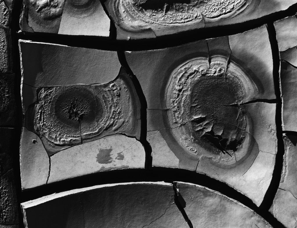 Detail of Dry Mud by Anonymous