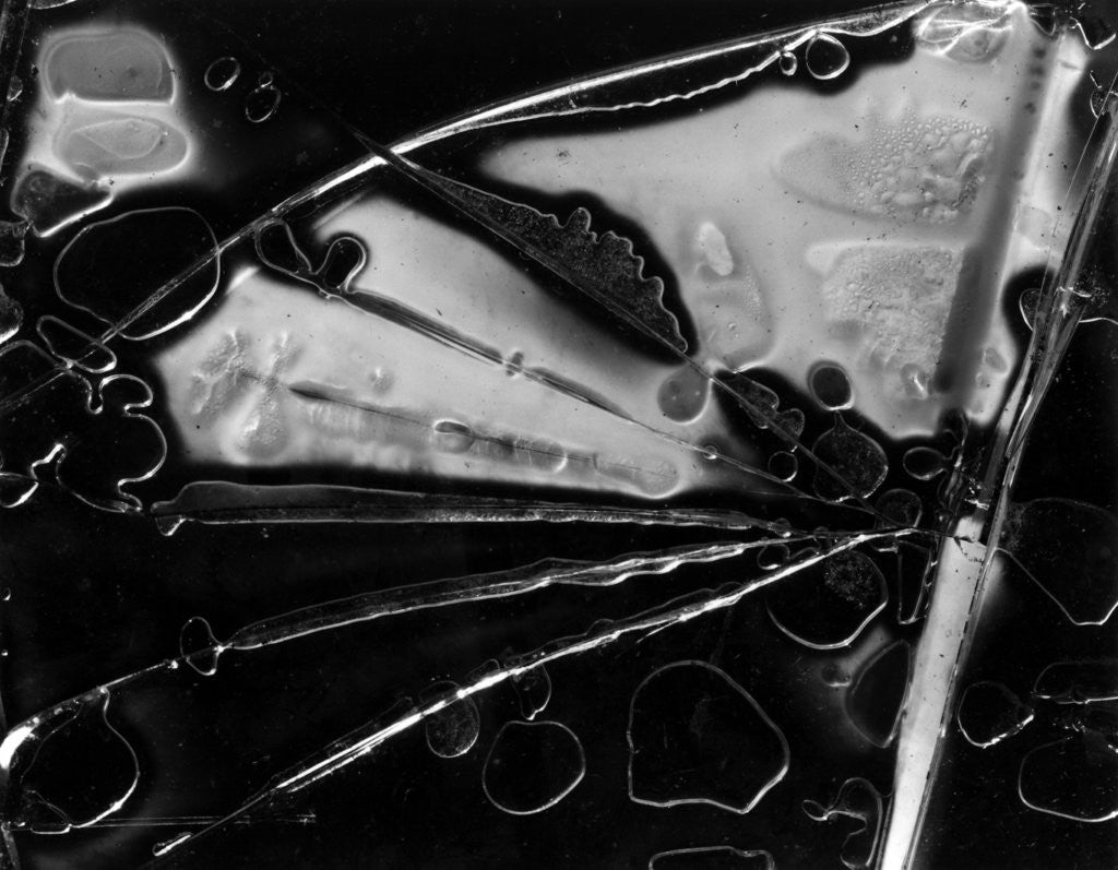Detail of Glass Abstraction, California, 1954 by Anonymous