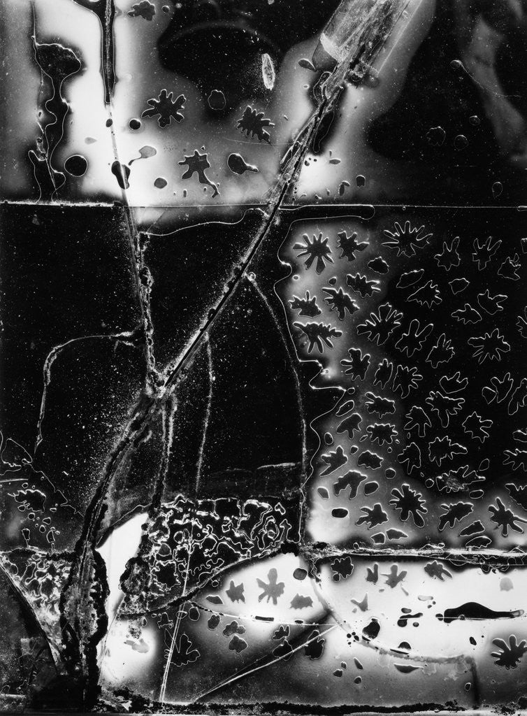 Detail of Broken Glass, 1955 by Anonymous