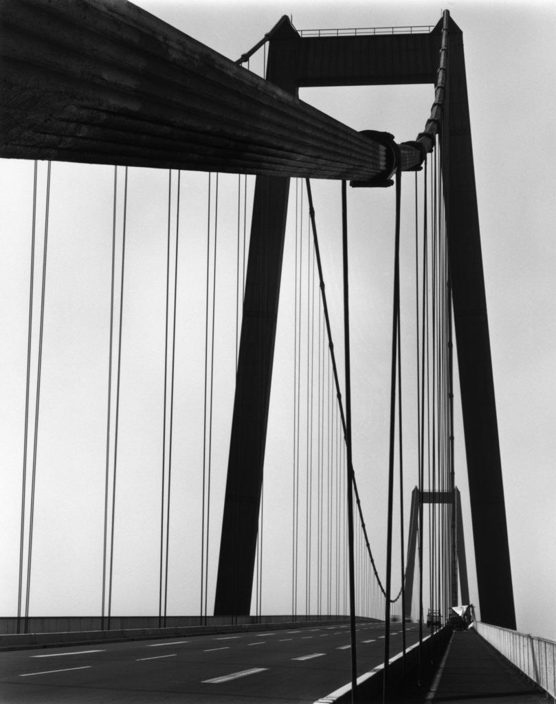 Detail of Suspension Bridge, California by Brett Weston