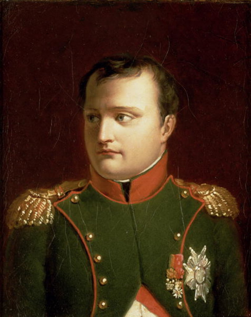 Detail of Napoleon Bonaparte by Jacques Louis David