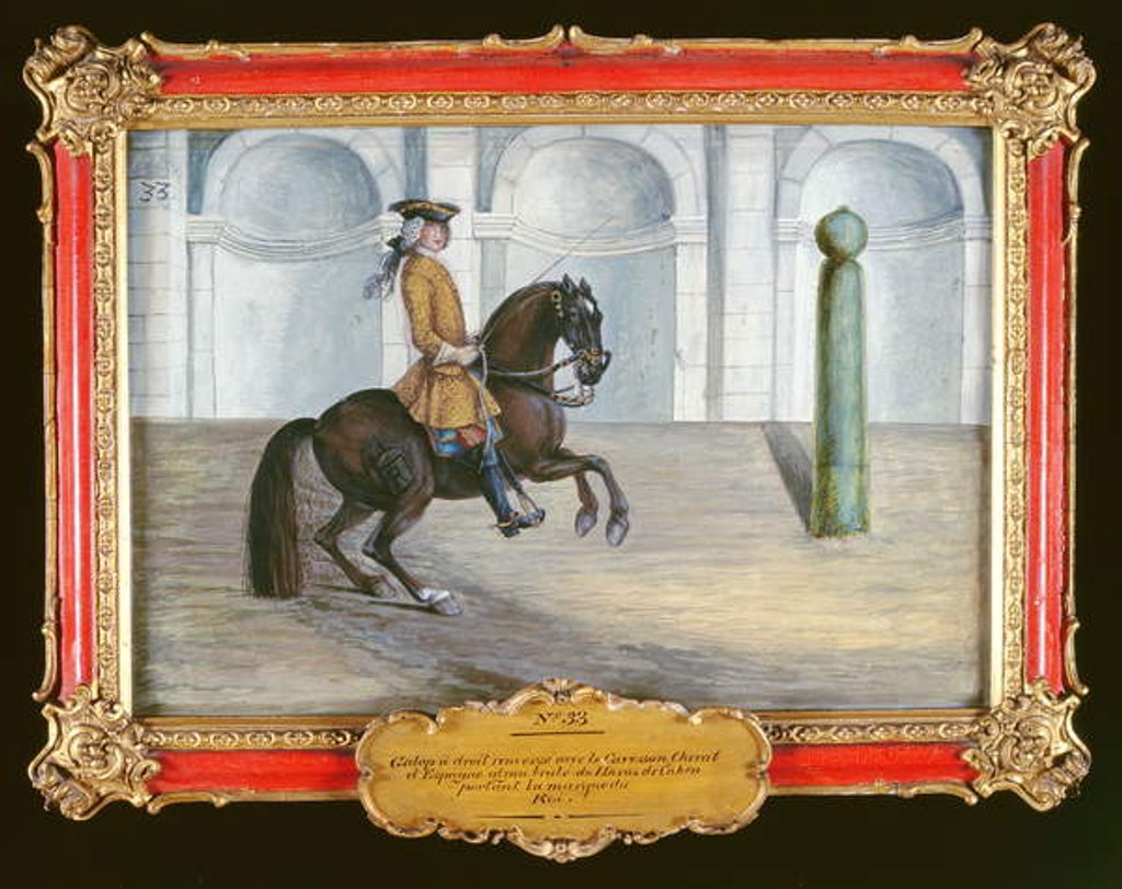 Detail of A Spanish horse of the Spanish Riding School performing a dressage movement by Baron Reis d' Eisenberg