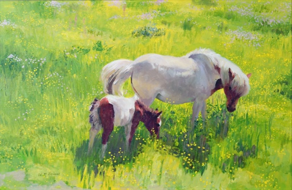 Piebald horse and foal by William Ireland