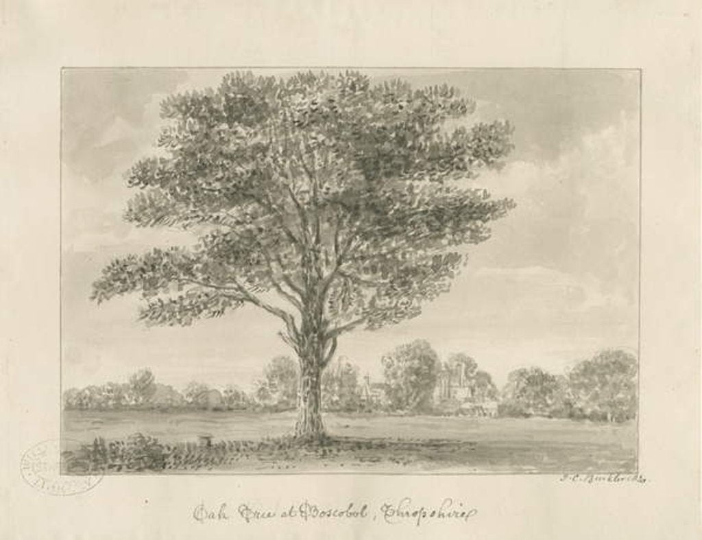 Detail of Boscobel - The Royal Oak by John Chessell Buckler