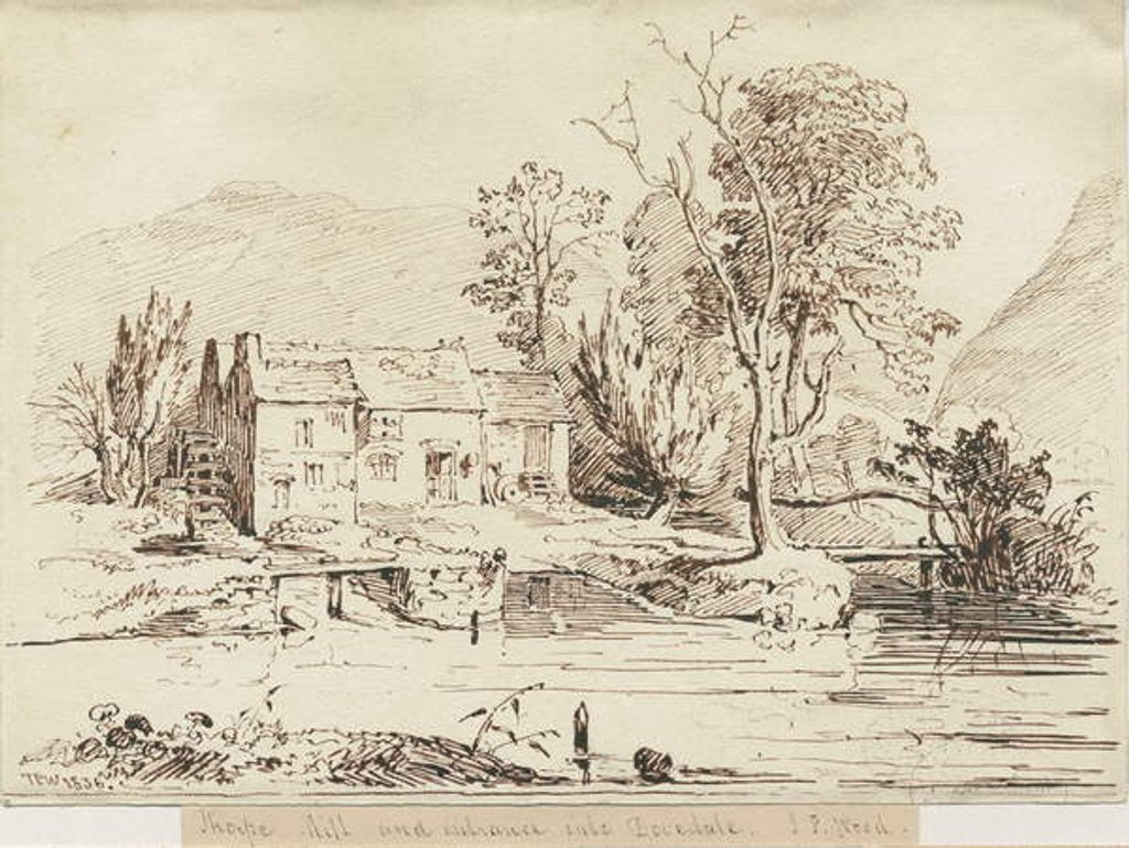 Detail of Dovedale - Thorpe Mill: pen and sepia drawing, 1836 by Thomas Peploe Wood