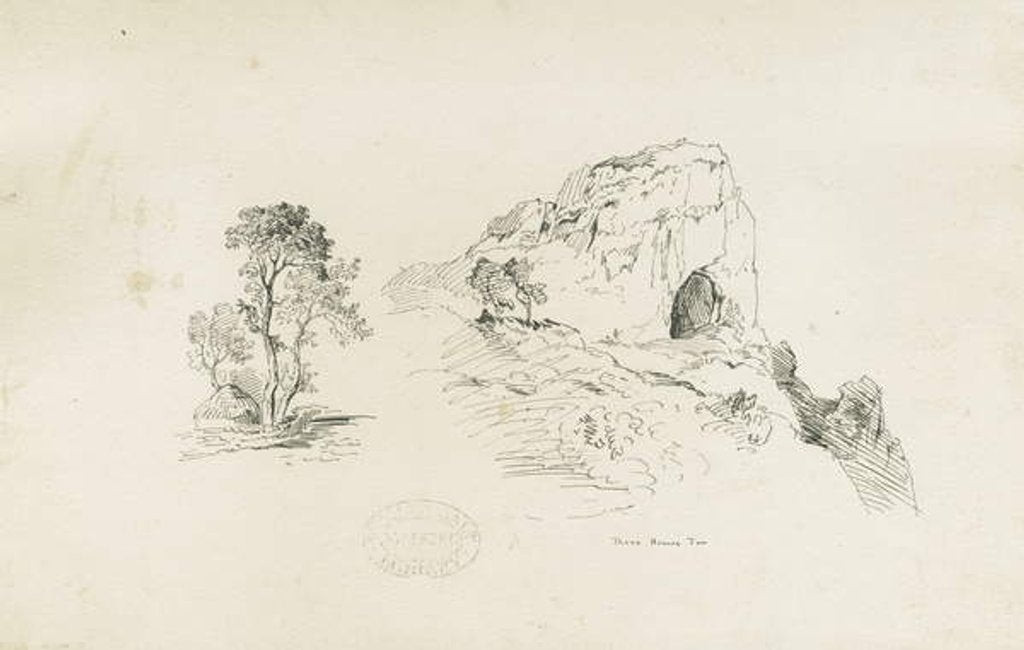 Detail of Dovedale - landscape: pen and ink drawing, nd [1817-1845] by Thomas Peploe Wood
