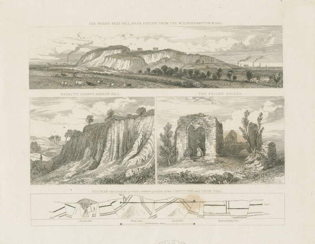 Detail of Dudley - Wren's Nest Hill: steel engraving, nd [?19th cent] by School English