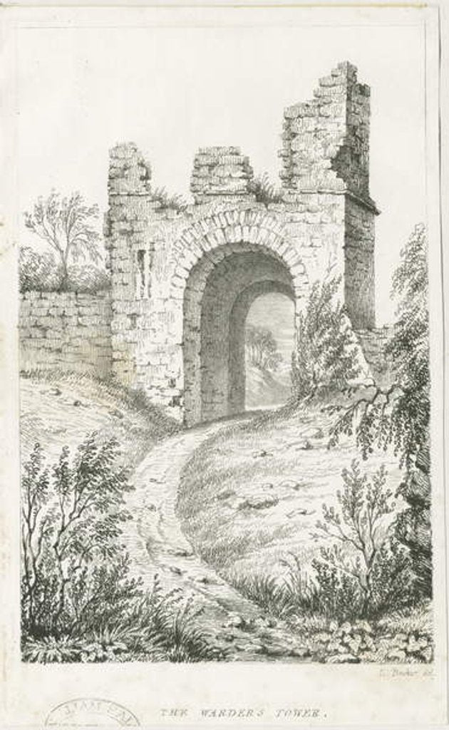 Detail of Dudley Castle - 'The Warden's Tower' by Luke Booker