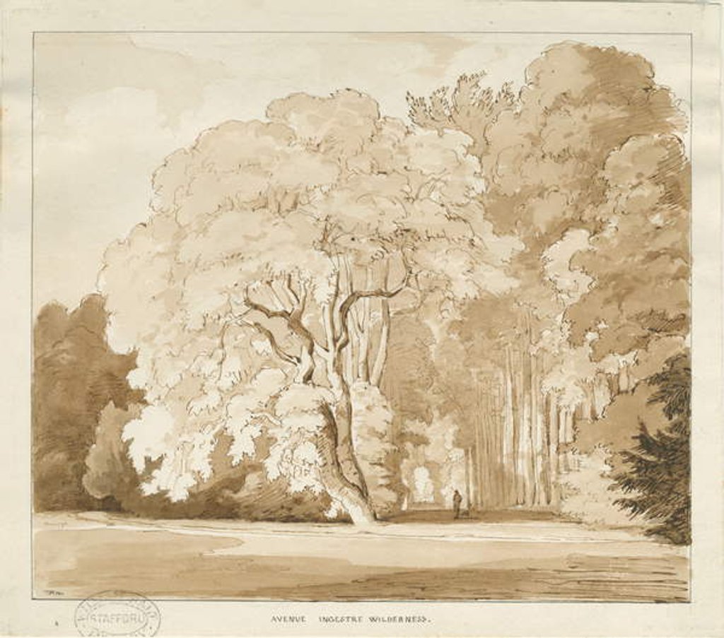 Detail of Ingestre - a study of trees by Thomas Peploe Wood