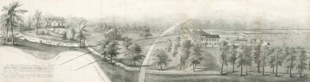Detail of Fenton Hall and Whieldon's Grove: lithograph by School English