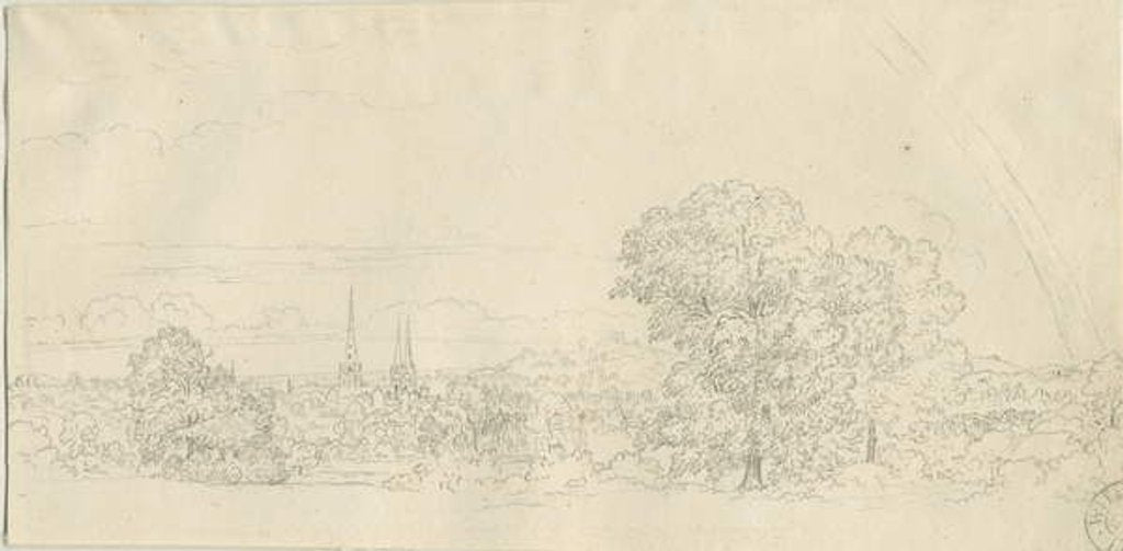 Detail of Lichfield - Distant view by Henry Curzon Allport