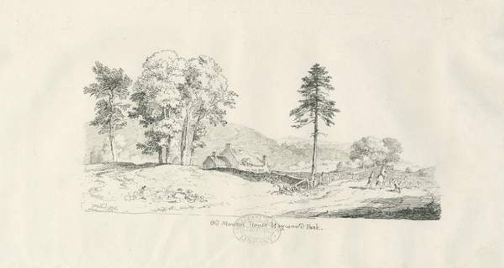Detail of Haywood Park - Old Manor House: pen and ink drawing, 1836 by Thomas Peploe Wood