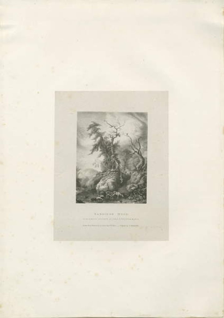 Detail of Himley Estate - 'Bagridge Wood' by Charles Joseph Hullmandel