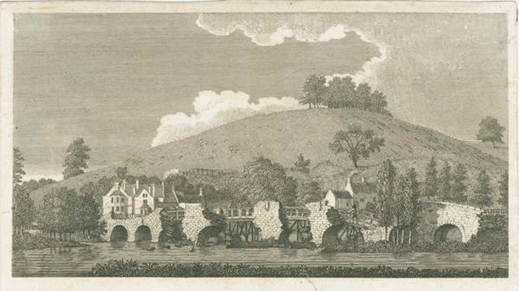 Detail of Wolseley Bridge by Stebbing Shaw