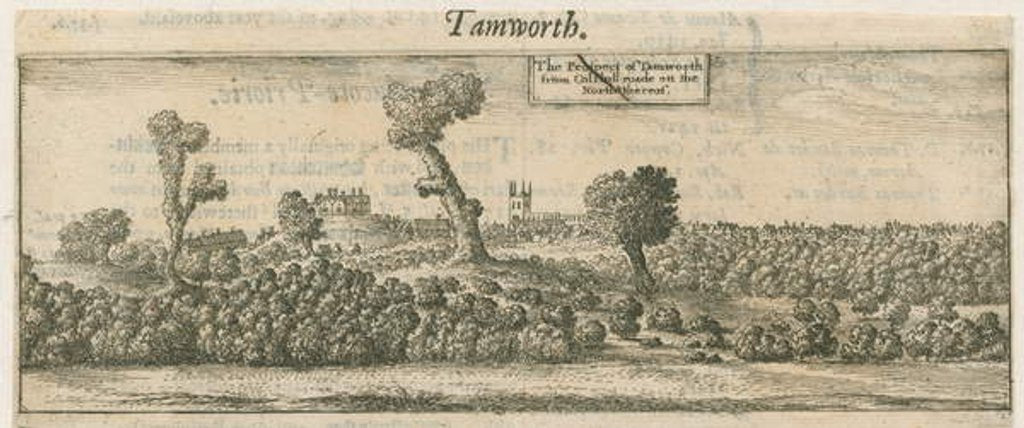 Detail of Tamworth - Panorama by William Dugdale