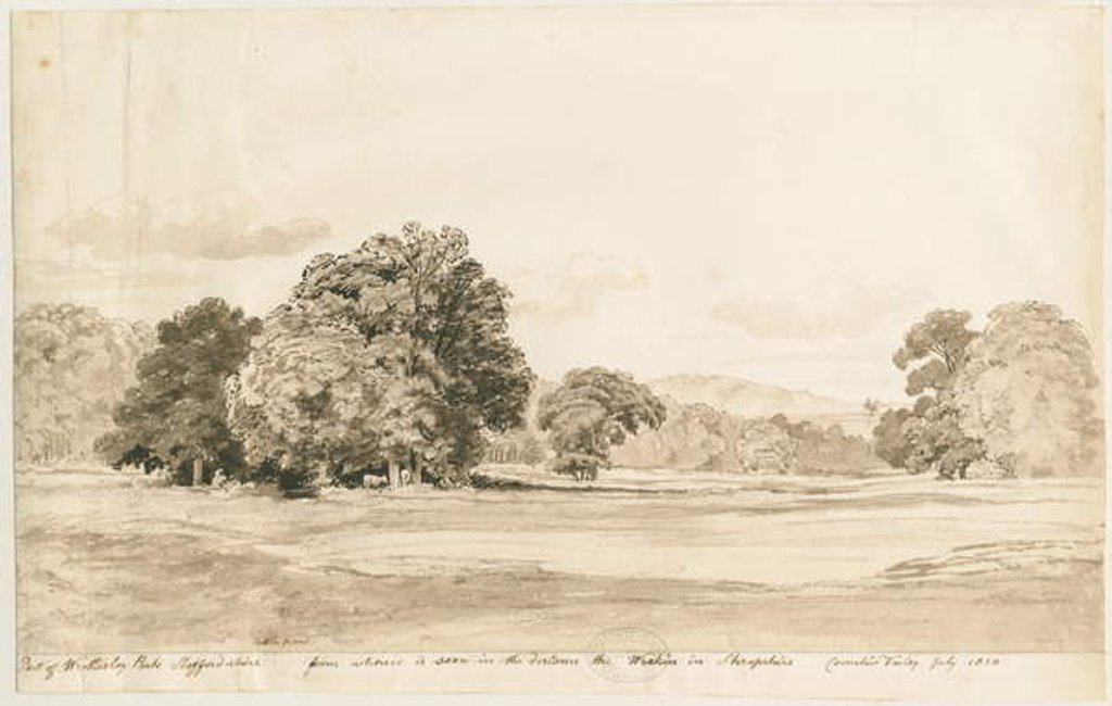 Detail of Wrottesley Park: sepia drawing, Jul 1820 by Cornelius Varley