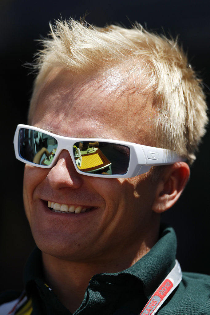 Detail of Canadian sun, Heikki Kovalainen by Charles Coates