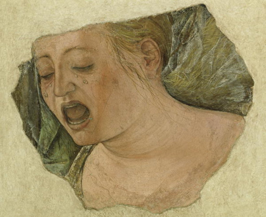 Head of Mary Magdalene Crying by Ercole de Roberti
