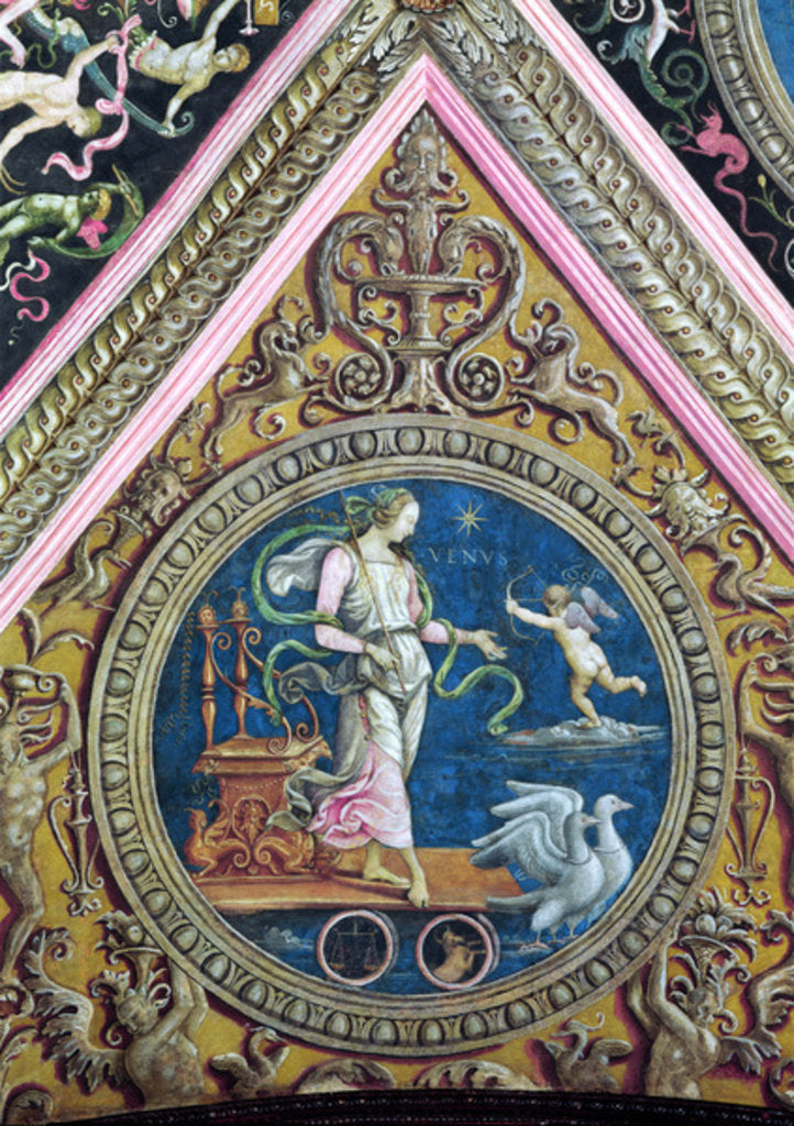 Detail of Venus by Pietro Perugino