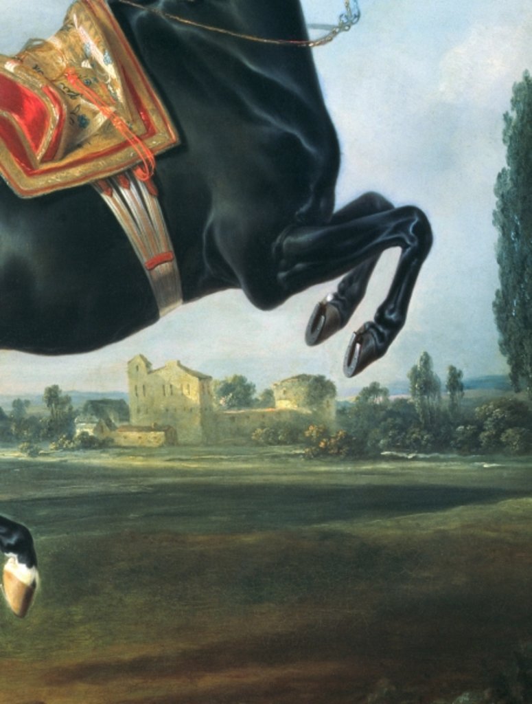 Detail of A black horse performing the Courbette by Johann Georg Hamilton