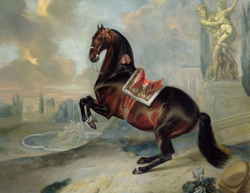 Detail of The dark bay horse 'Valido' performing a Levade movement by Johann Georg Hamilton