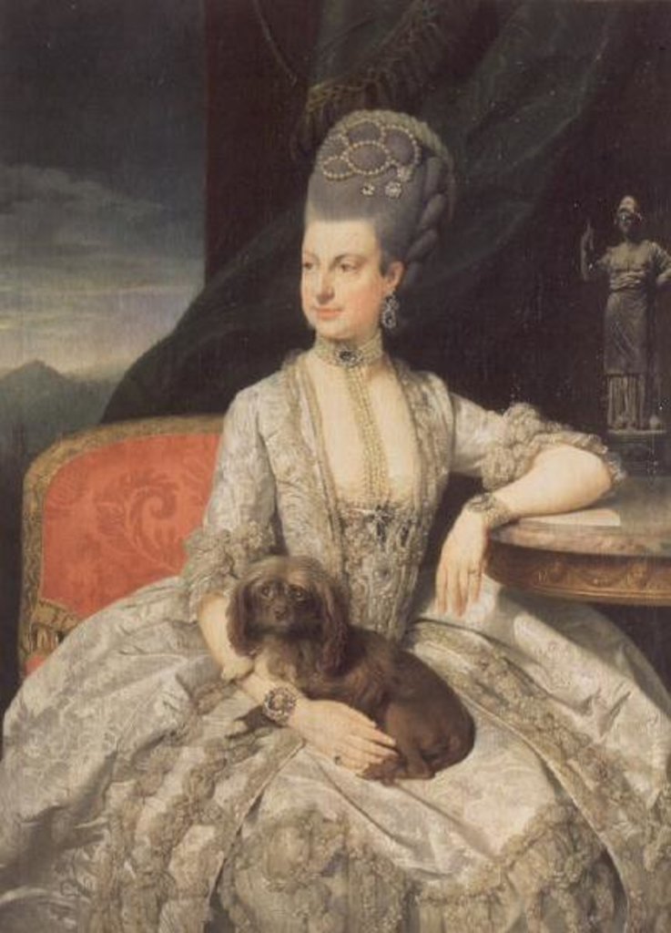 Detail of Archduchess Maria Christine Habsburg-Lothringen, daughter of Empress Maria Theresa of Austria and Emperor Francis I of Austria, 1776 by Johann Zoffany