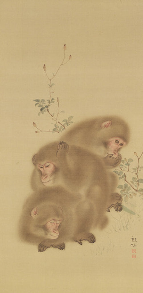 Detail of Baboon Family by Japanese School